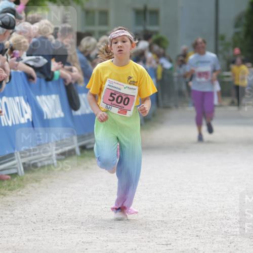 17.05.2025 - Störlauf H.Heesch http://msf.ph/oto/7874253 17.05.2025 13:57:19 Ziel  meine-sportfotos.de