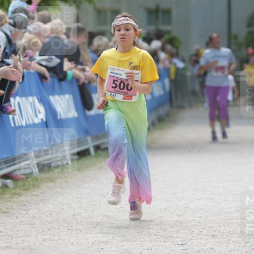 17.05.2025 - Störlauf H.Heesch http://msf.ph/oto/7874254 17.05.2025 13:57:19 Ziel  meine-sportfotos.de