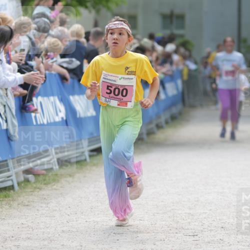 17.05.2025 - Störlauf H.Heesch http://msf.ph/oto/7874259 17.05.2025 13:57:20 Ziel  meine-sportfotos.de