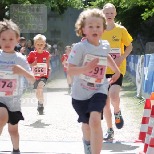 17.05.2025 - Störlauf H.Heesch http://msf.ph/oto/7874286 17.05.2025 13:57:39 Ziel  meine-sportfotos.de