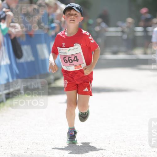 17.05.2025 - Störlauf H.Heesch http://msf.ph/oto/7874783 17.05.2025 13:57:49 Ziel  meine-sportfotos.de