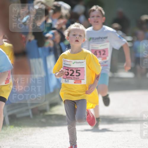 17.05.2025 - Störlauf H.Heesch http://msf.ph/oto/7874839 17.05.2025 13:58:05 Ziel  meine-sportfotos.de