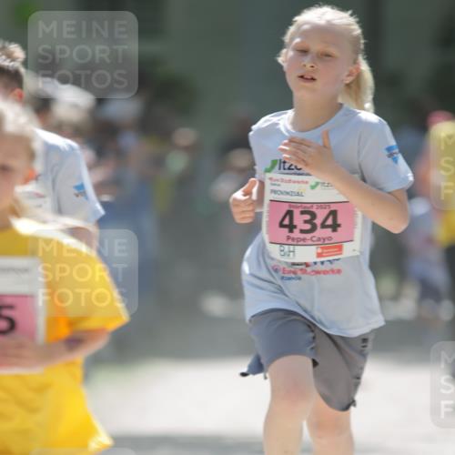 17.05.2025 - Störlauf H.Heesch http://msf.ph/oto/7874855 17.05.2025 13:58:07 Ziel  meine-sportfotos.de