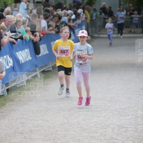 17.05.2025 - Störlauf H.Heesch http://msf.ph/oto/7874899 17.05.2025 13:59:06 Ziel  meine-sportfotos.de