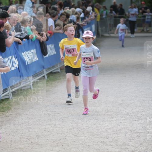 17.05.2025 - Störlauf H.Heesch http://msf.ph/oto/7874901 17.05.2025 13:59:06 Ziel  meine-sportfotos.de