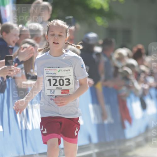 17.05.2025 - Störlauf H.Heesch http://msf.ph/oto/7875117 17.05.2025 14:41:35 Ziel  meine-sportfotos.de