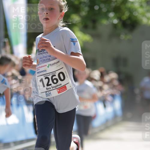 17.05.2025 - Störlauf H.Heesch http://msf.ph/oto/7875145 17.05.2025 14:42:23 Ziel  meine-sportfotos.de