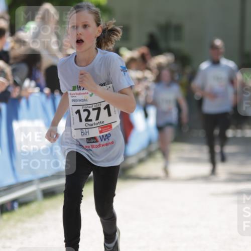 17.05.2025 - Störlauf H.Heesch http://msf.ph/oto/7875258 17.05.2025 14:44:51 Ziel  meine-sportfotos.de