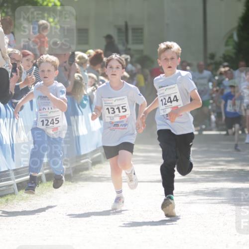 17.05.2025 - Störlauf H.Heesch http://msf.ph/oto/7875327 17.05.2025 14:46:39 Ziel  meine-sportfotos.de