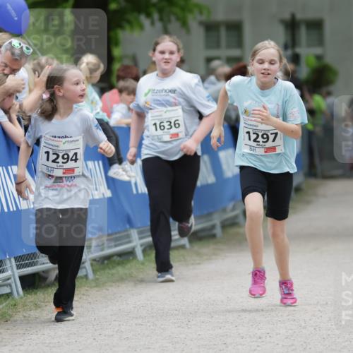 17.05.2025 - Störlauf H.Heesch http://msf.ph/oto/7875740 17.05.2025 15:00:21 Ziel  meine-sportfotos.de