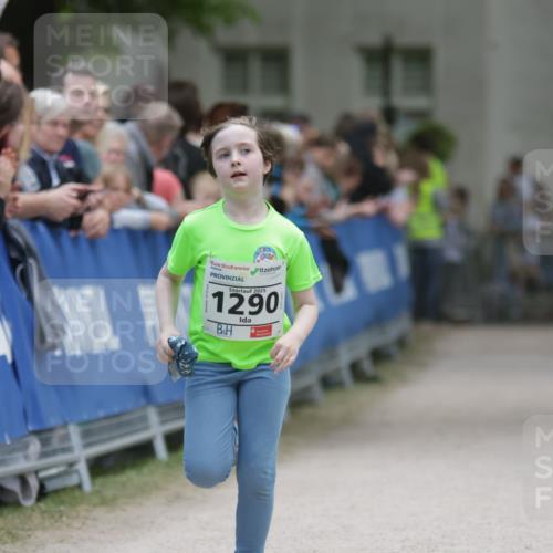 17.05.2025 - Störlauf H.Heesch http://msf.ph/oto/7875897 17.05.2025 15:17:58 Ziel  meine-sportfotos.de