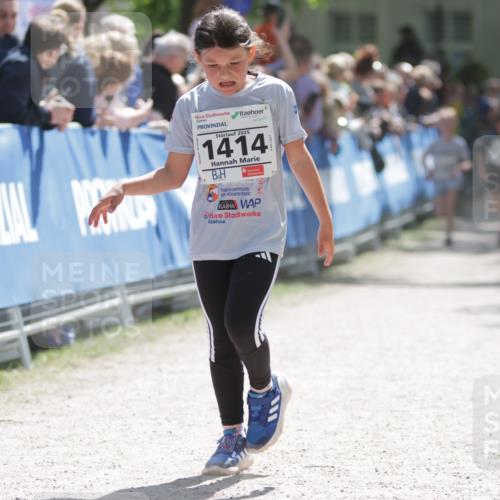 17.05.2025 - Störlauf H.Heesch http://msf.ph/oto/7876958 17.05.2025 14:48:25 Ziel  meine-sportfotos.de