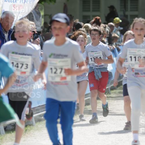 17.05.2025 - Störlauf H.Heesch http://msf.ph/oto/7877882 17.05.2025 14:50:42 Ziel  meine-sportfotos.de