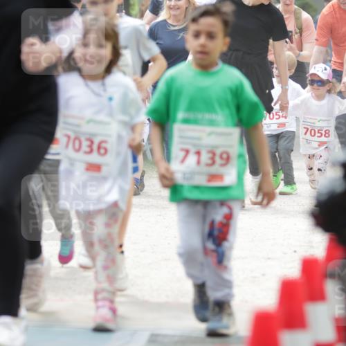 17.05.2025 - Störlauf H.Heesch http://msf.ph/oto/7879126 17.05.2025 13:02:53 Ziel  meine-sportfotos.de