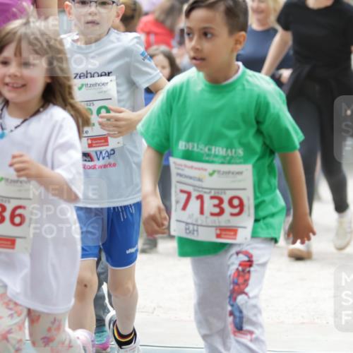 17.05.2025 - Störlauf H.Heesch http://msf.ph/oto/7879162 17.05.2025 13:02:55 Ziel  meine-sportfotos.de