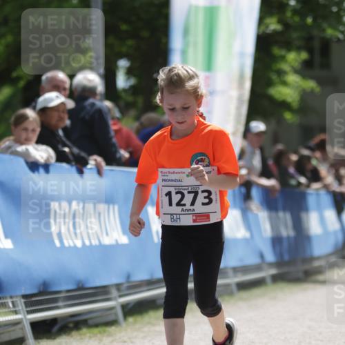 17.05.2025 - Störlauf H.Heesch http://msf.ph/oto/7879372 17.05.2025 14:53:45 Ziel  meine-sportfotos.de