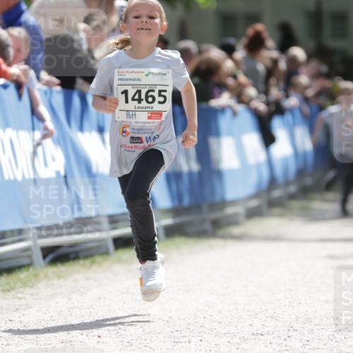 17.05.2025 - Störlauf H.Heesch http://msf.ph/oto/7879423 17.05.2025 14:54:10 Ziel  meine-sportfotos.de
