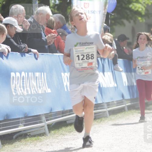 17.05.2025 - Störlauf H.Heesch http://msf.ph/oto/7879521 17.05.2025 14:54:26 Ziel  meine-sportfotos.de