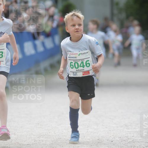 17.05.2025 - Störlauf H.Heesch http://msf.ph/oto/7879774 17.05.2025 13:16:59 Ziel  meine-sportfotos.de