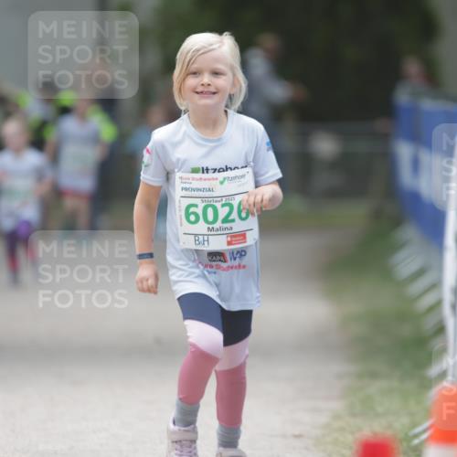 17.05.2025 - Störlauf H.Heesch http://msf.ph/oto/7879809 17.05.2025 13:17:09 Ziel  meine-sportfotos.de