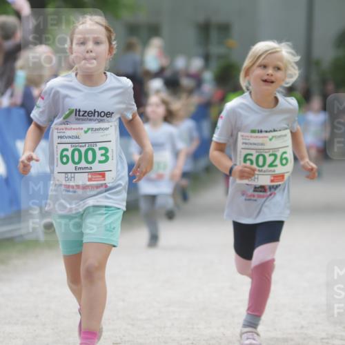 17.05.2025 - Störlauf H.Heesch http://msf.ph/oto/7879829 17.05.2025 13:17:12 Ziel  meine-sportfotos.de