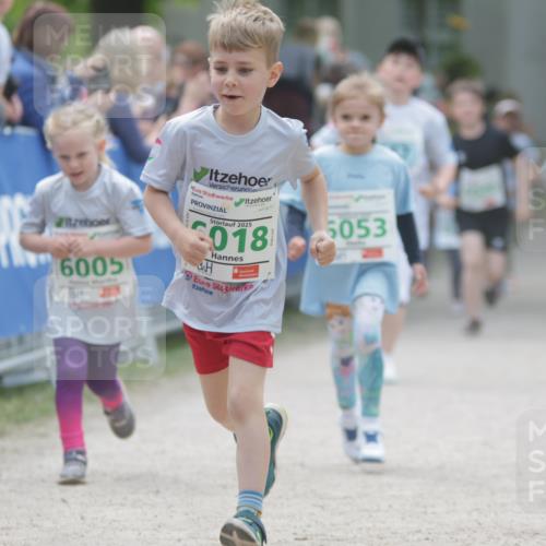 17.05.2025 - Störlauf H.Heesch http://msf.ph/oto/7879875 17.05.2025 13:17:22 Ziel  meine-sportfotos.de