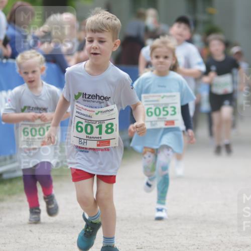 17.05.2025 - Störlauf H.Heesch http://msf.ph/oto/7879878 17.05.2025 13:17:22 Ziel  meine-sportfotos.de
