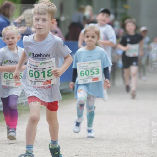 17.05.2025 - Störlauf H.Heesch http://msf.ph/oto/7879881 17.05.2025 13:17:22 Ziel  meine-sportfotos.de