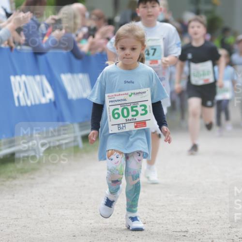 17.05.2025 - Störlauf H.Heesch http://msf.ph/oto/7879882 17.05.2025 13:17:24 Ziel  meine-sportfotos.de