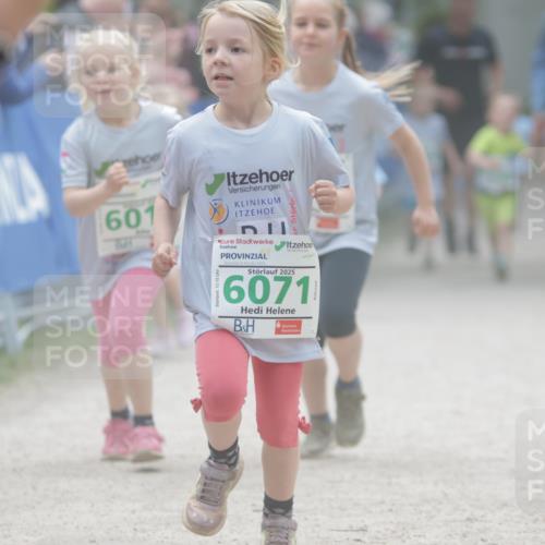 17.05.2025 - Störlauf H.Heesch http://msf.ph/oto/7879944 17.05.2025 13:17:34 Ziel  meine-sportfotos.de