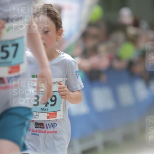 17.05.2025 - Störlauf H.Heesch http://msf.ph/oto/7880447 17.05.2025 13:39:55 Ziel  meine-sportfotos.de