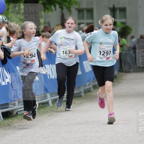 17.05.2025 - Störlauf H.Heesch http://msf.ph/oto/7880507 17.05.2025 15:00:21 Ziel  meine-sportfotos.de