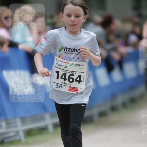 17.05.2025 - Störlauf H.Heesch http://msf.ph/oto/7880599 17.05.2025 15:01:02 Ziel  meine-sportfotos.de