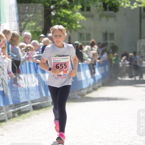 17.05.2025 - Störlauf H.Heesch http://msf.ph/oto/7880648 17.05.2025 14:01:21 Ziel  meine-sportfotos.de