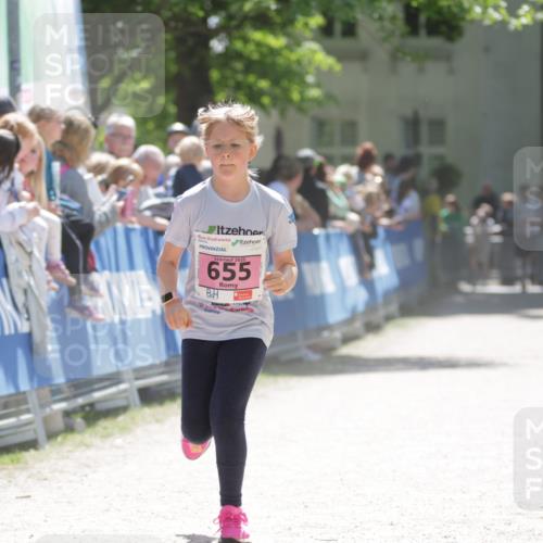 17.05.2025 - Störlauf H.Heesch http://msf.ph/oto/7880651 17.05.2025 14:01:21 Ziel  meine-sportfotos.de