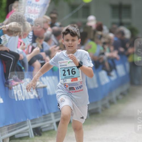 17.05.2025 - Störlauf H.Heesch http://msf.ph/oto/7880681 17.05.2025 13:40:29 Ziel  meine-sportfotos.de