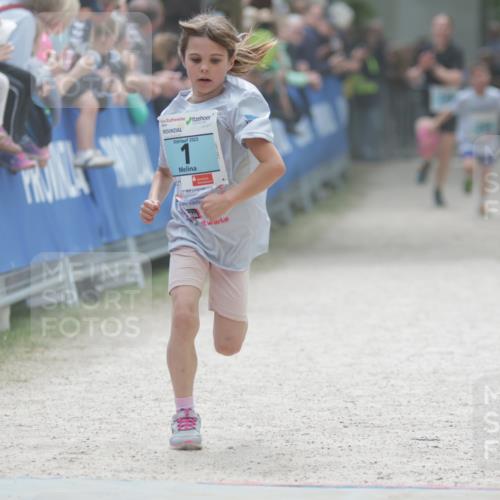 17.05.2025 - Störlauf H.Heesch http://msf.ph/oto/7880801 17.05.2025 13:40:44 Ziel  meine-sportfotos.de