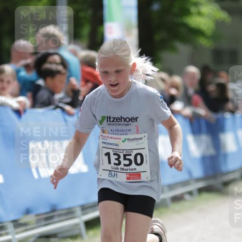 17.05.2025 - Störlauf H.Heesch http://msf.ph/oto/7880804 17.05.2025 15:04:50 Ziel  meine-sportfotos.de