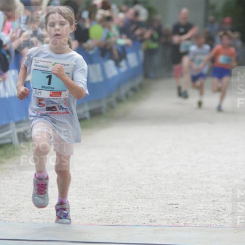17.05.2025 - Störlauf H.Heesch http://msf.ph/oto/7880818 17.05.2025 13:40:44 Ziel  meine-sportfotos.de