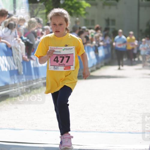 17.05.2025 - Störlauf H.Heesch http://msf.ph/oto/7880961 17.05.2025 14:02:01 Ziel  meine-sportfotos.de
