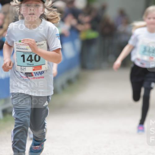 17.05.2025 - Störlauf H.Heesch http://msf.ph/oto/7881004 17.05.2025 13:41:03 Ziel  meine-sportfotos.de