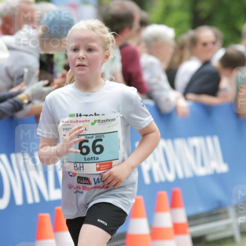 17.05.2025 - Störlauf H.Heesch http://msf.ph/oto/7881014 17.05.2025 13:41:07 Ziel  meine-sportfotos.de
