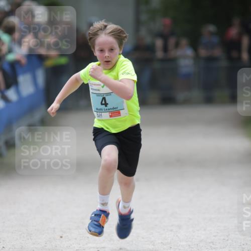 17.05.2025 - Störlauf H.Heesch http://msf.ph/oto/7881112 17.05.2025 13:41:16 Ziel  meine-sportfotos.de