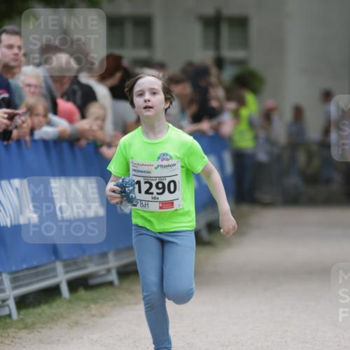 17.05.2025 - Störlauf H.Heesch http://msf.ph/oto/7881125 17.05.2025 15:17:58 Ziel  meine-sportfotos.de