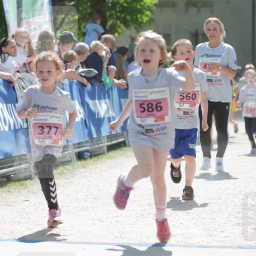 17.05.2025 - Störlauf H.Heesch http://msf.ph/oto/7881136 17.05.2025 14:02:18 Ziel  meine-sportfotos.de