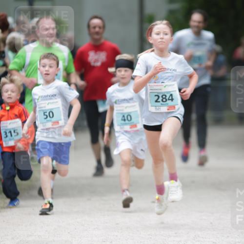 17.05.2025 - Störlauf H.Heesch http://msf.ph/oto/7881153 17.05.2025 13:41:30 Ziel  meine-sportfotos.de