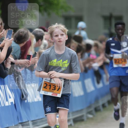 17.05.2025 - Störlauf H.Heesch http://msf.ph/oto/7881406 17.05.2025 15:24:08 Ziel  meine-sportfotos.de