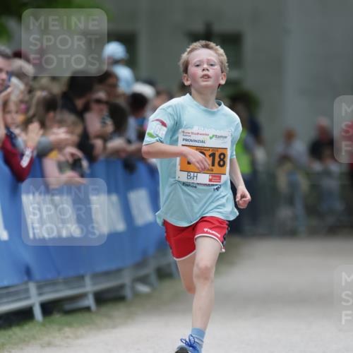 17.05.2025 - Störlauf H.Heesch http://msf.ph/oto/7881444 17.05.2025 15:24:31 Ziel  meine-sportfotos.de