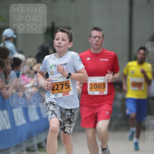 17.05.2025 - Störlauf H.Heesch http://msf.ph/oto/7881552 17.05.2025 15:25:25 Ziel  meine-sportfotos.de