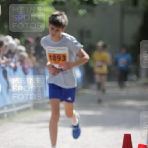17.05.2025 - Störlauf H.Heesch http://msf.ph/oto/7881955 17.05.2025 15:29:20 Ziel  meine-sportfotos.de